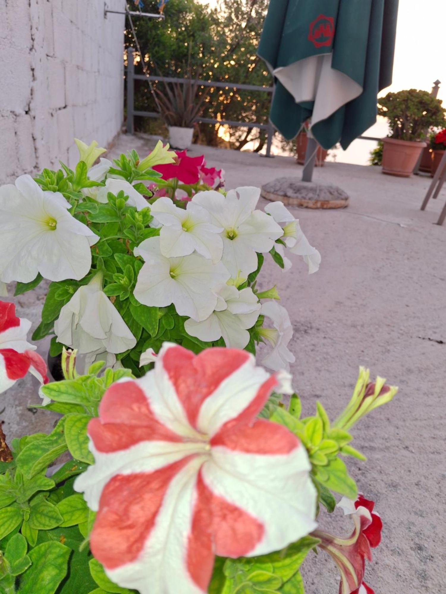 Amar Seaside * Ksamil